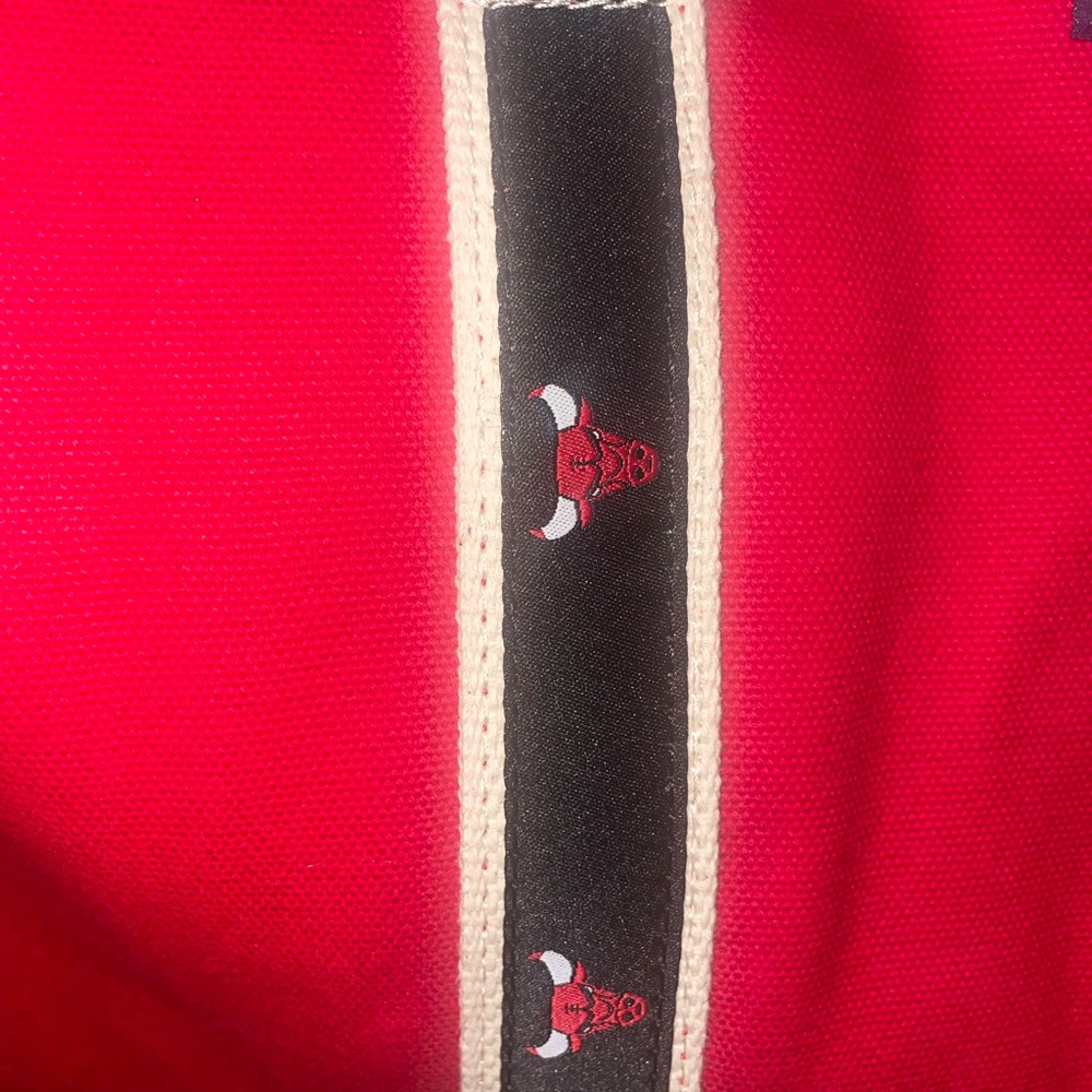 Rowing Blazers x NBA CHICAGO BULLS Duffle Banker Bag NWT - Picture 3 of 11